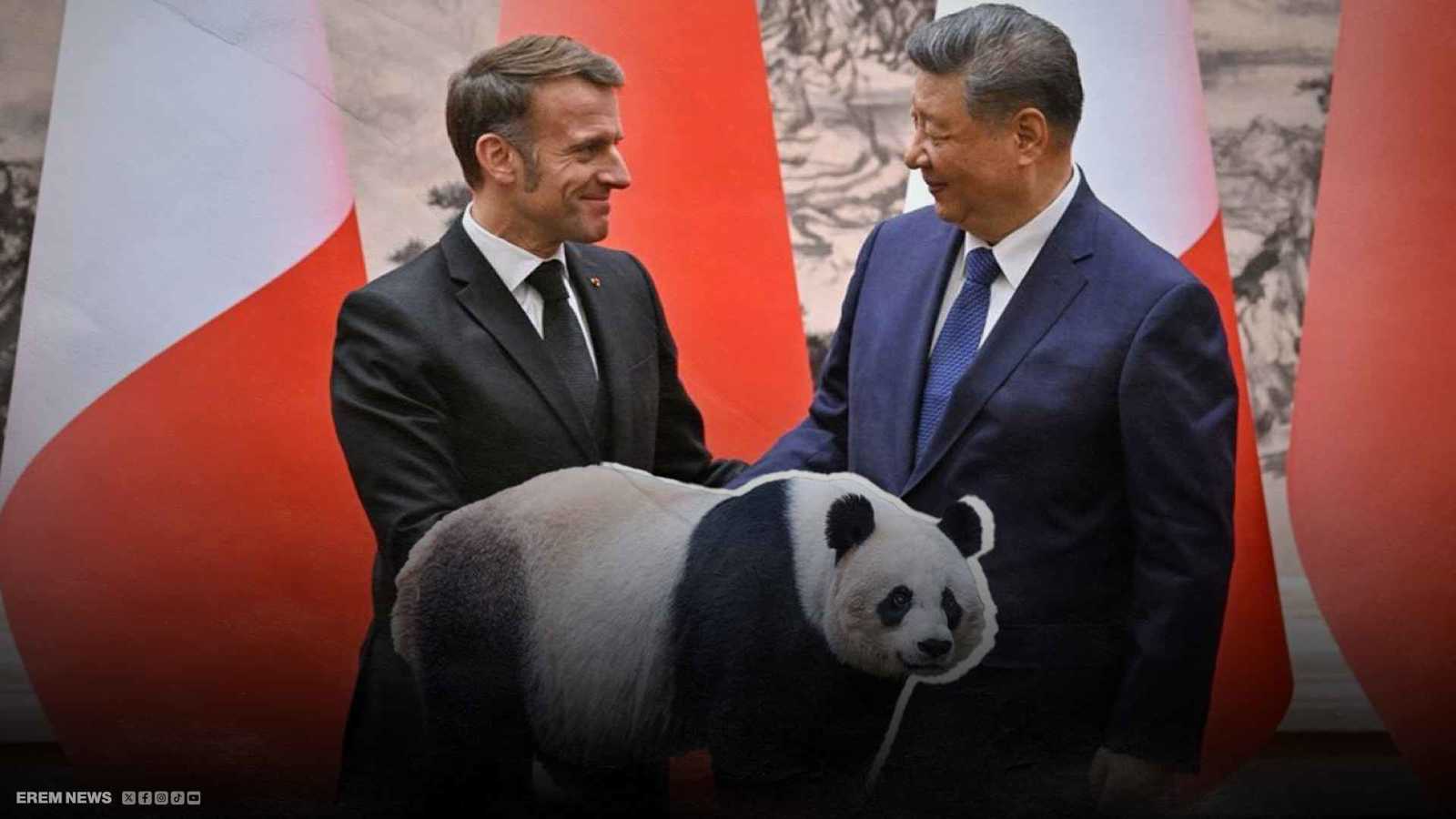 "دبلوماسية الباندا" تُذيب جليد السياسة بين الصين وفرنسا (فيديو إرم)