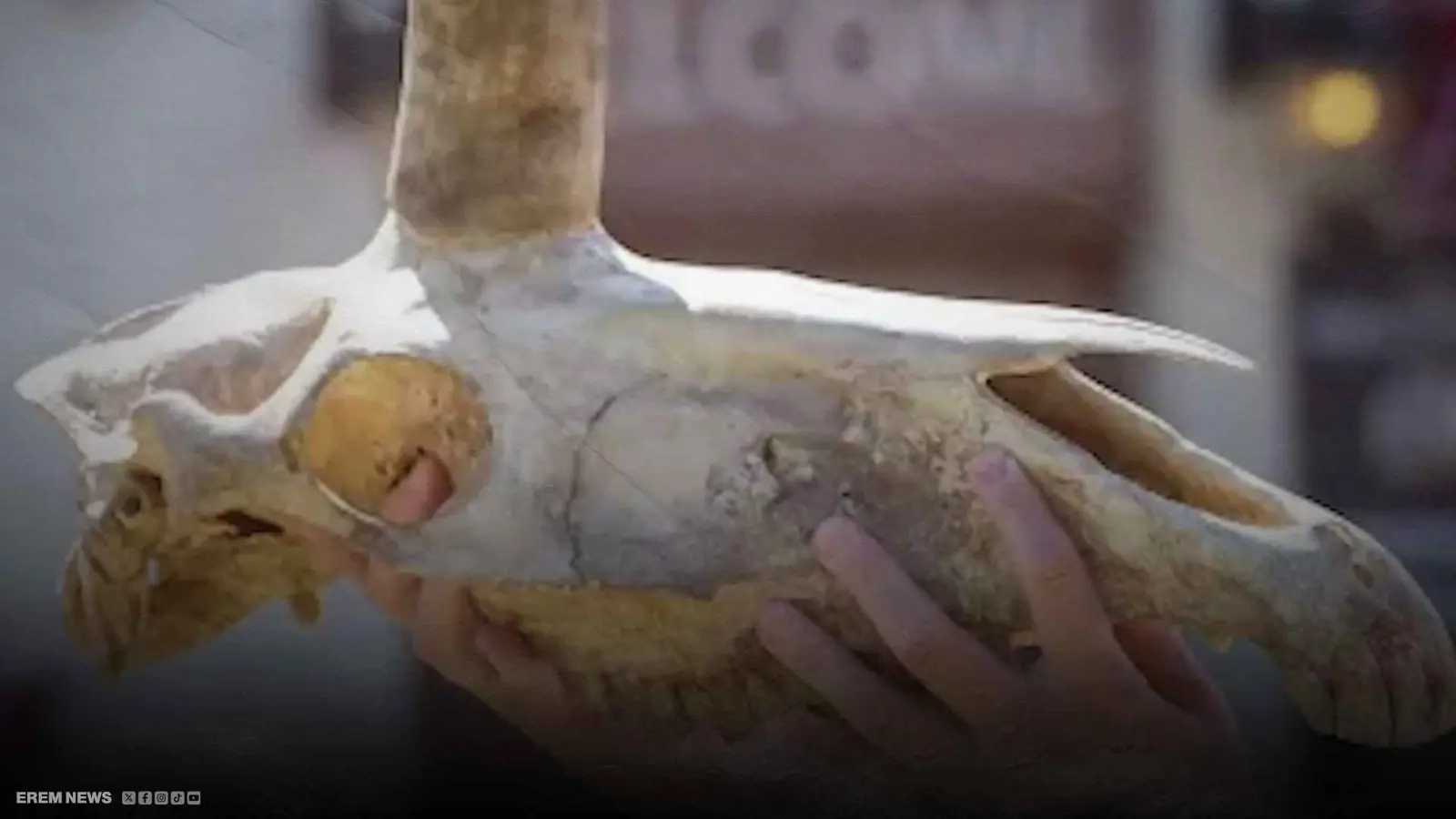 جمجمة غامضة