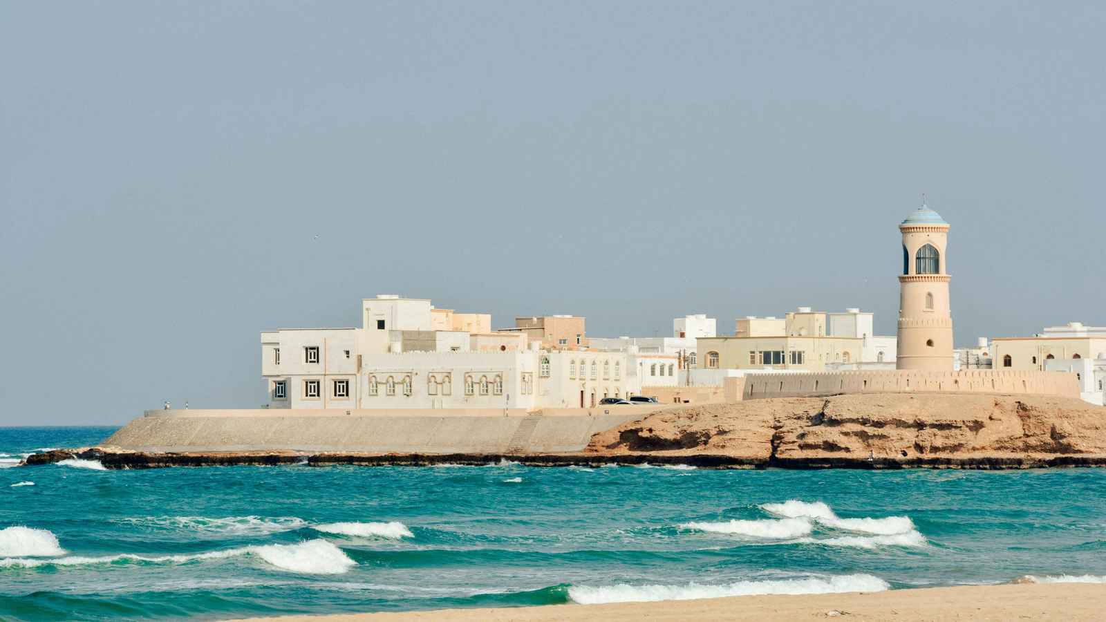 اكتشاف مفترسات صغيرة جديدة قبالة سواحل عُمان