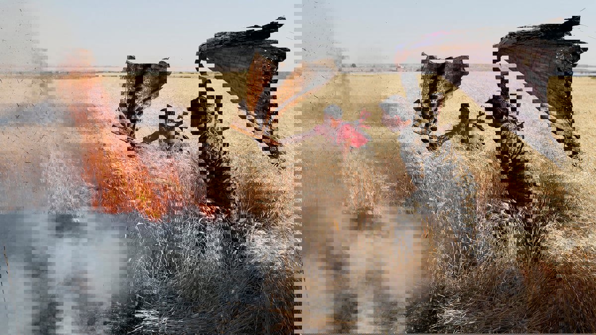 حرائق بنكهة سياسية تجتاح "سلة غذاء" سوريا