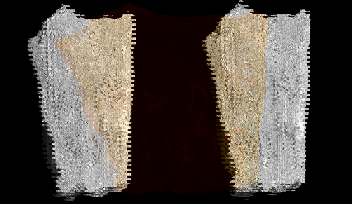 نقش أثري لإمبراطور فارسي يثير ضجة في إسرائيل.. فما القصة؟