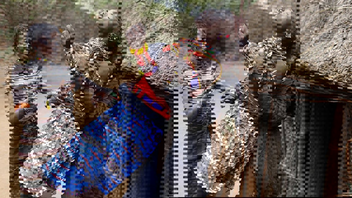  مهرجان في بروكسل لأفلام المخرجين من أصل إفريقي