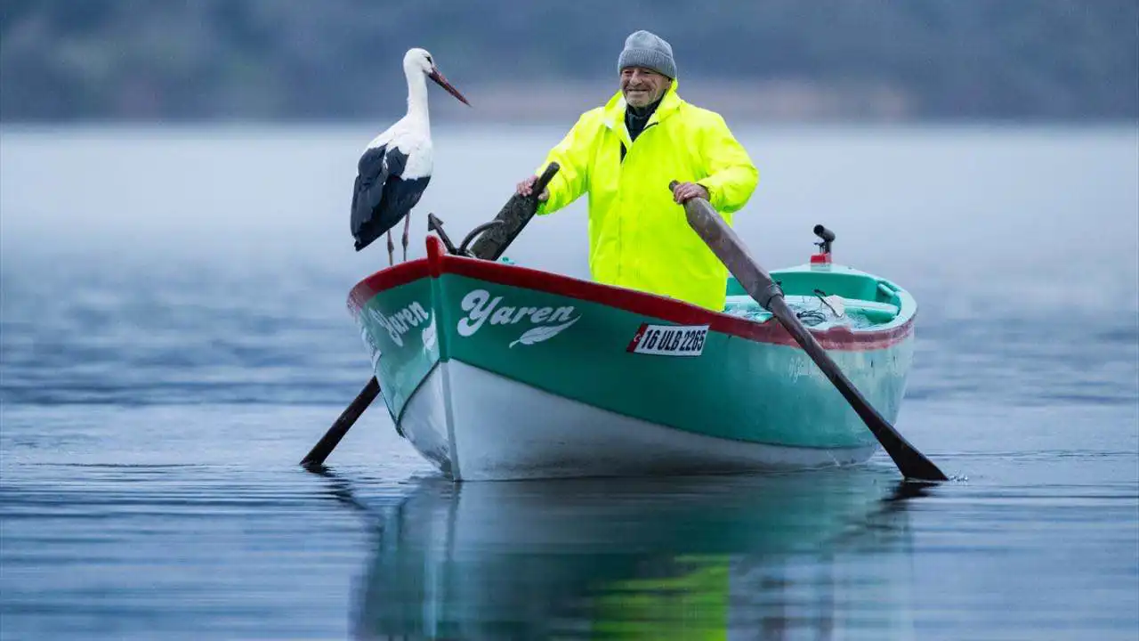 صداقة فريدة.. طائر لقلق شهير يعود لصديقه الصياد بعد 15 عاما (فيديو)