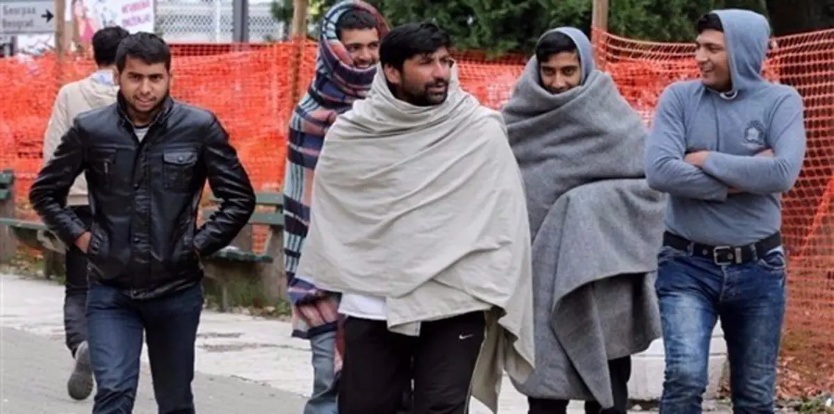 دير شبيغل: آلاف المقاتلين السابقين في طالبان دخلوا ألمانيا‎ للحصول على لجوء