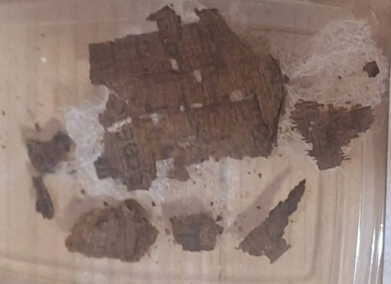 ورقة البردي التي تحوي نص الإلياذة