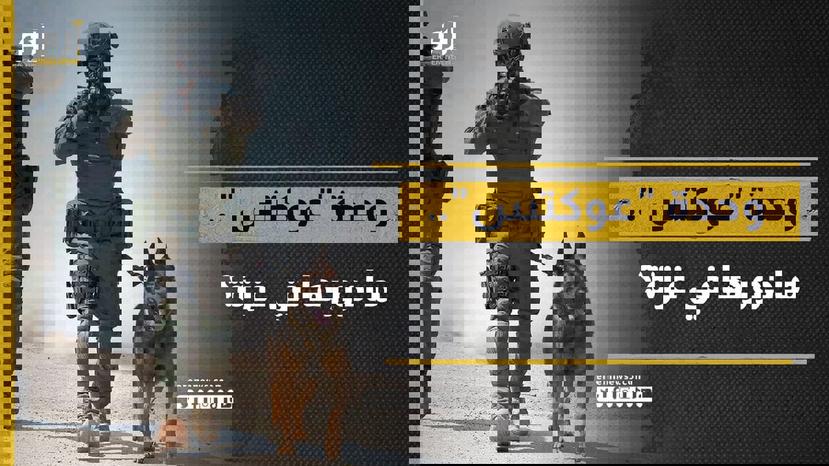 وحدة عوكتس.. كلاب إسرائيل للبحث عن الأسرى وأنفاق غزة