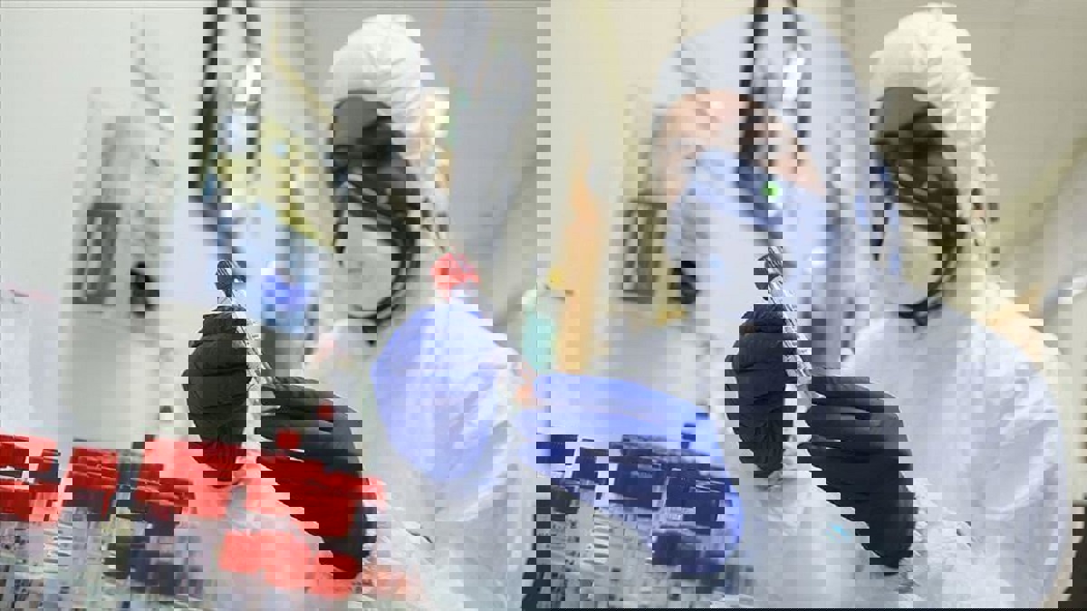 الجزائر توقف آلية جمع الزكاة وصرفها إلى ما بعد كورونا