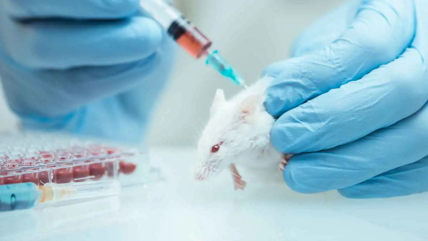 "طريق مسدود".. الاستنساخ الجيني له حدود بيولوجية