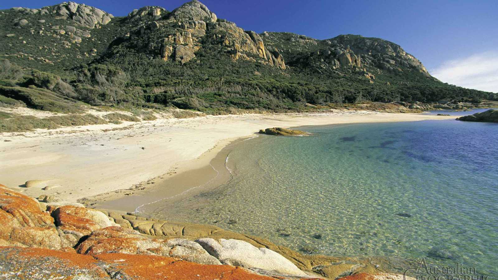 كرات غامضة تعود للظهور على سواحل أستراليا (صور)