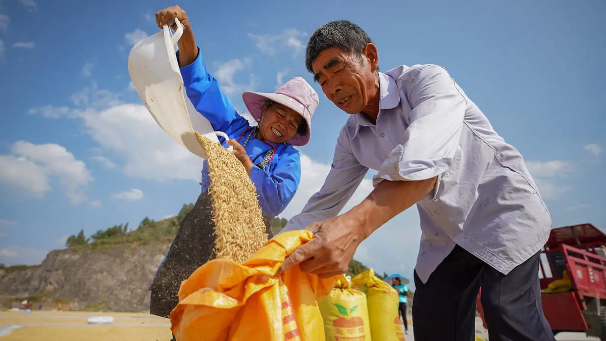 التجارة الإلكترونية ترفع مبيعات المنتجات الزراعية في الصين