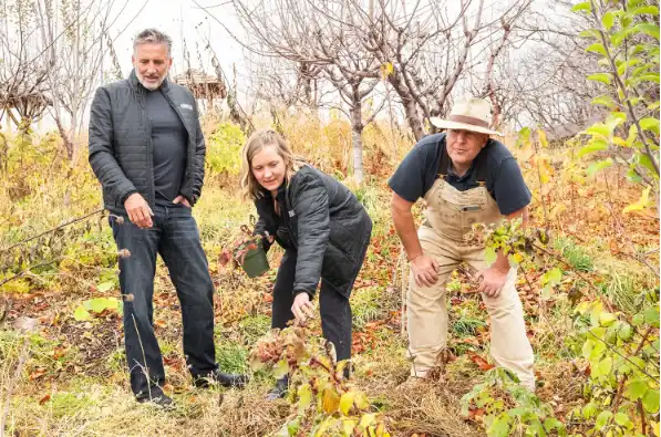 الملاذ الأمن لجايسون أورفيس