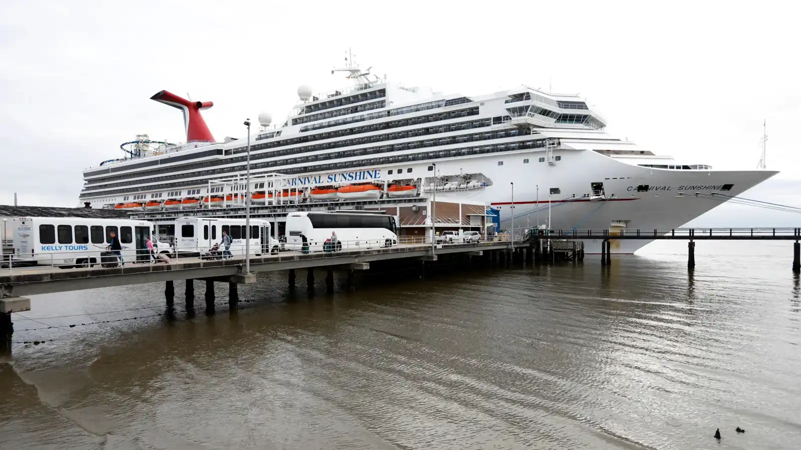 "قطع الدجاج" تشعل مشاجرة جماعية على متن سفينة (فيديو)