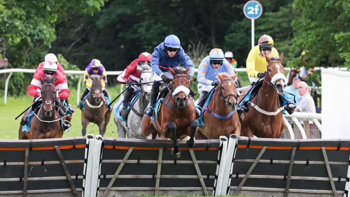 تعرض لمشكلة صحية.. وفاة حصان بشكل صادم بعد اصطدامه بحاجز