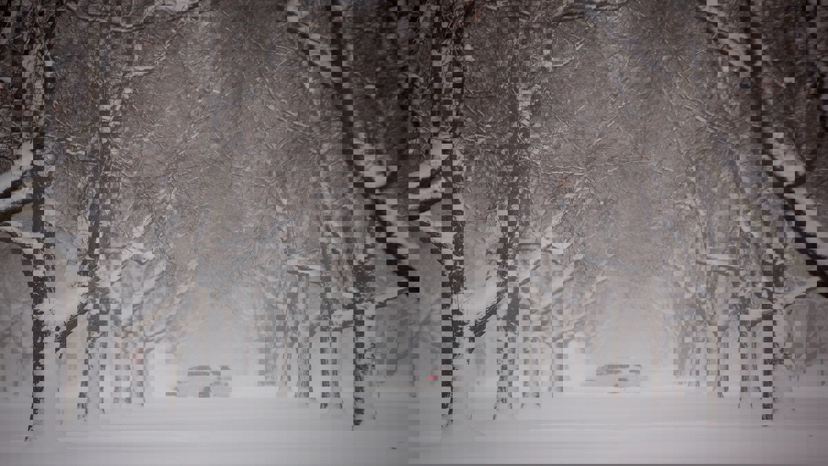 عاصفة قطبية تودي بحياة 21 شخصًا في الولايات المتحدة