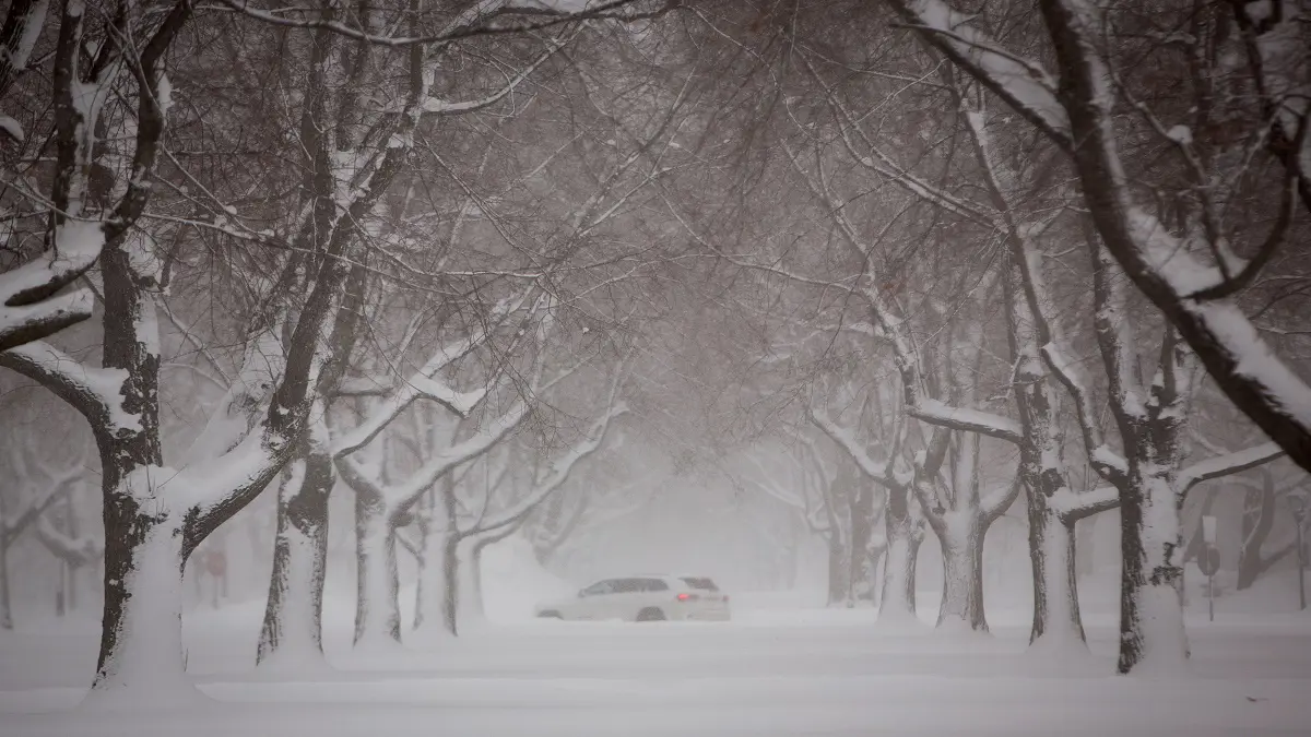 عاصفة قطبية تودي بحياة 21 شخصًا في الولايات المتحدة