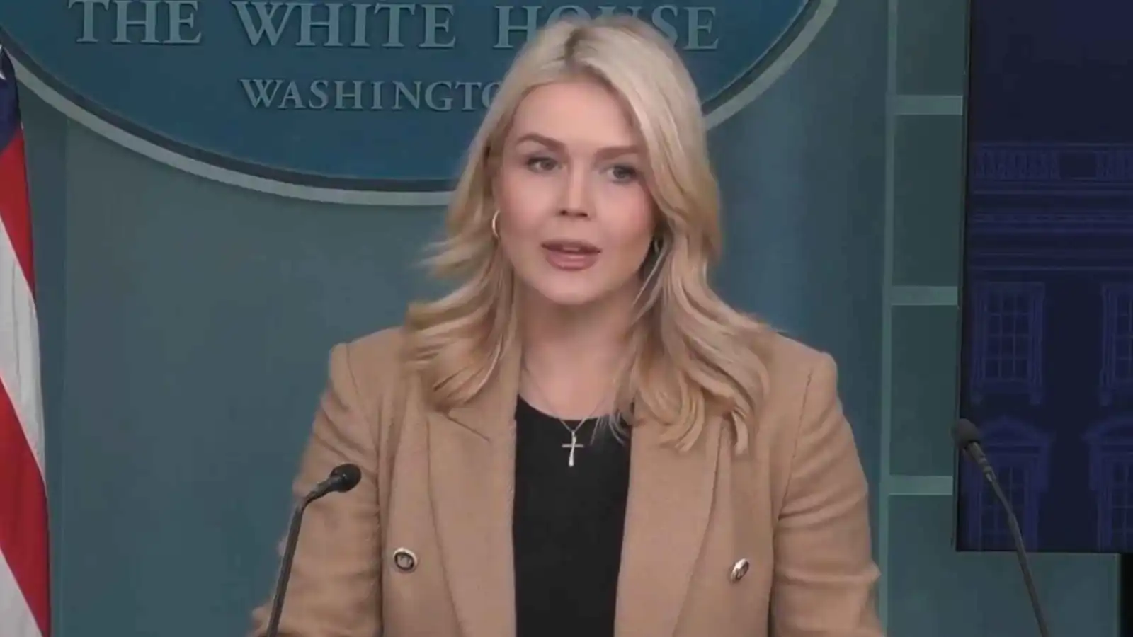 كارولين ليفيت