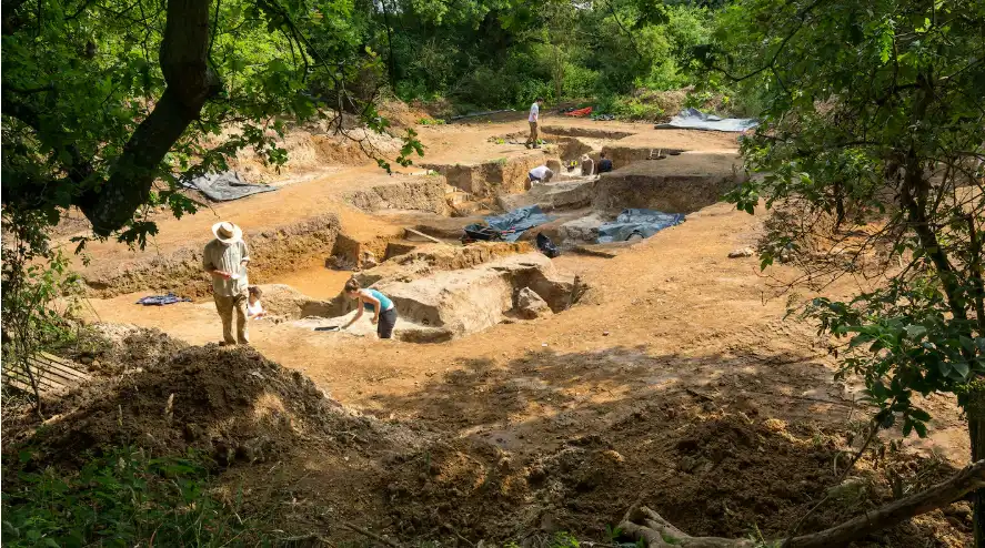 موقع "إيست فارم"