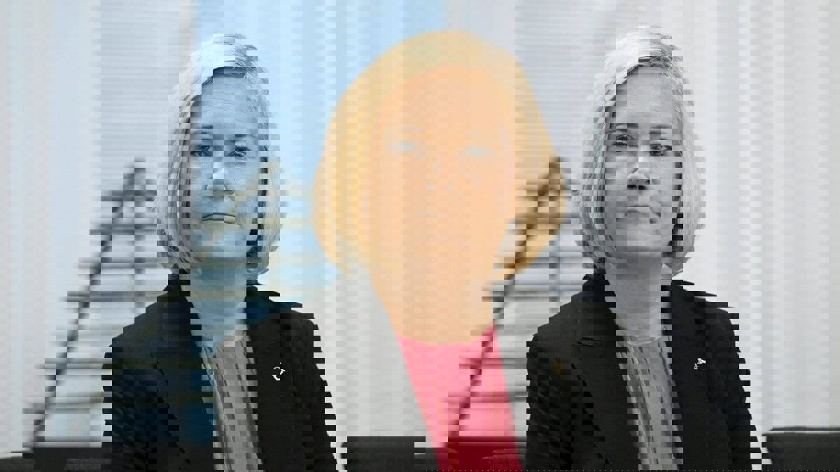 فنلندا تعيد إغلاق حدودها مع روسيا على خلفية عبور 
مهاجرين