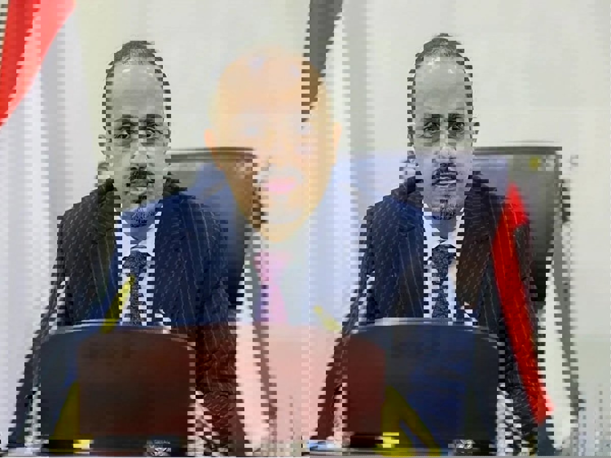 الإرياني: ميليشيا الحوثي تُغرق اليمن بالمبيدات الزراعية المسرطنة 