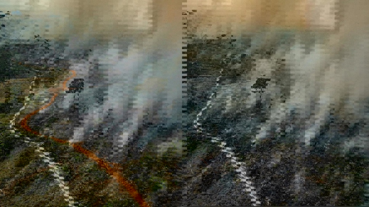 قمة السبع تخصص 20 مليون دولار لإنقاذ الأمازون‎