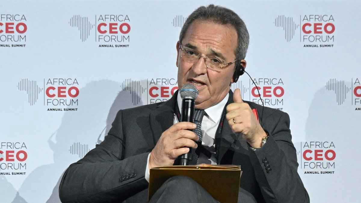 تونس.. الإفراج عن المخلوفي أكبر مصدّر لزيت الزيتون