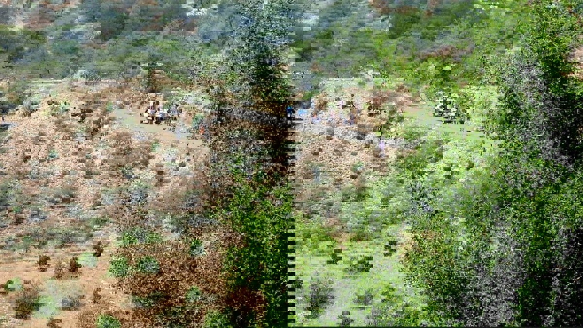 الجيش اليمني يتحدث عن استراتيجية ما بعد "انتصارات الضالع"