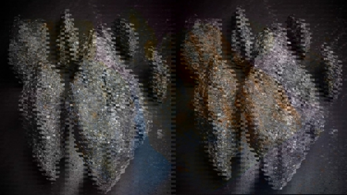 بيع 3 شظايا مصدرها القمر مقابل 855 ألف دولار بمزاد في نيويورك (فيديو)