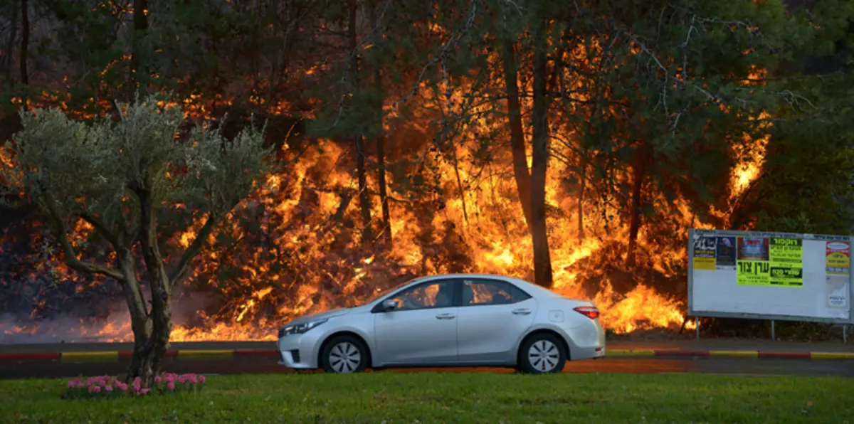  شاهد بالفيديو.. أبرز محطات الحرائق المُشتعلة في إسرائيل