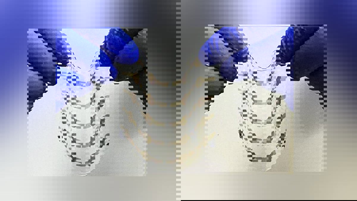 تطوير مادة لصناعة عضلات اصطناعية مرنة