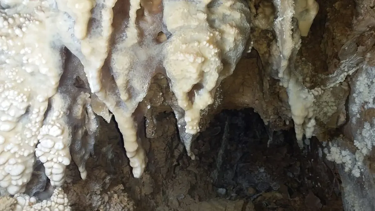 الأردن .. اكتشاف مغارة أثرية في إربد من العصر الطباشيري الأعلى