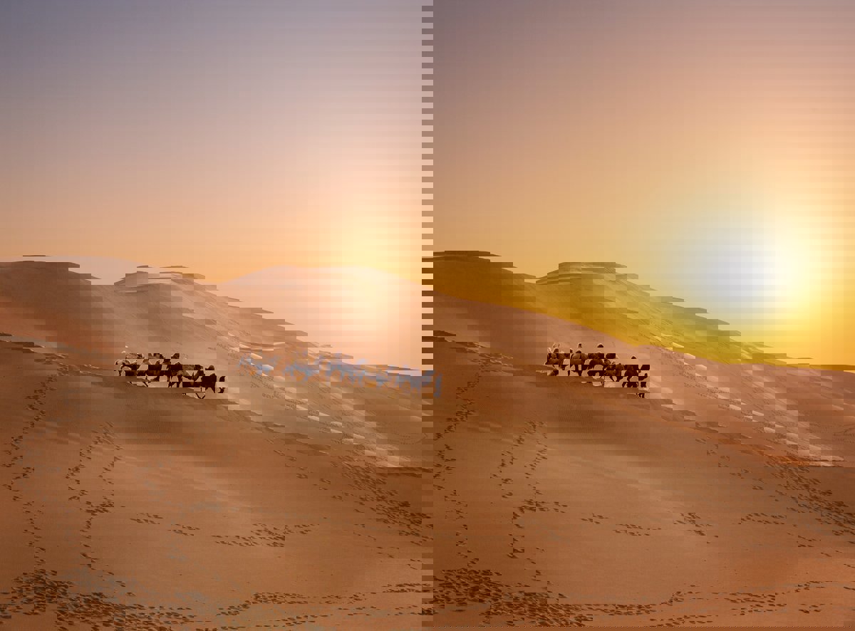 طريق الحرير.. رحلة البضائع والأفكار بين الشرق والغرب