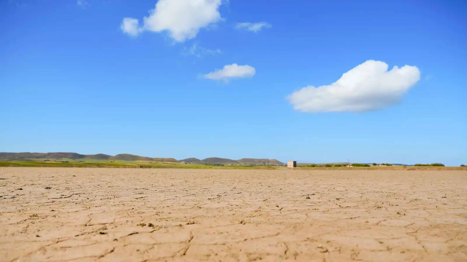 تهدد المحاصيل والصحة.. درجات الحرارة العالمية تصل لمستويات قياسية