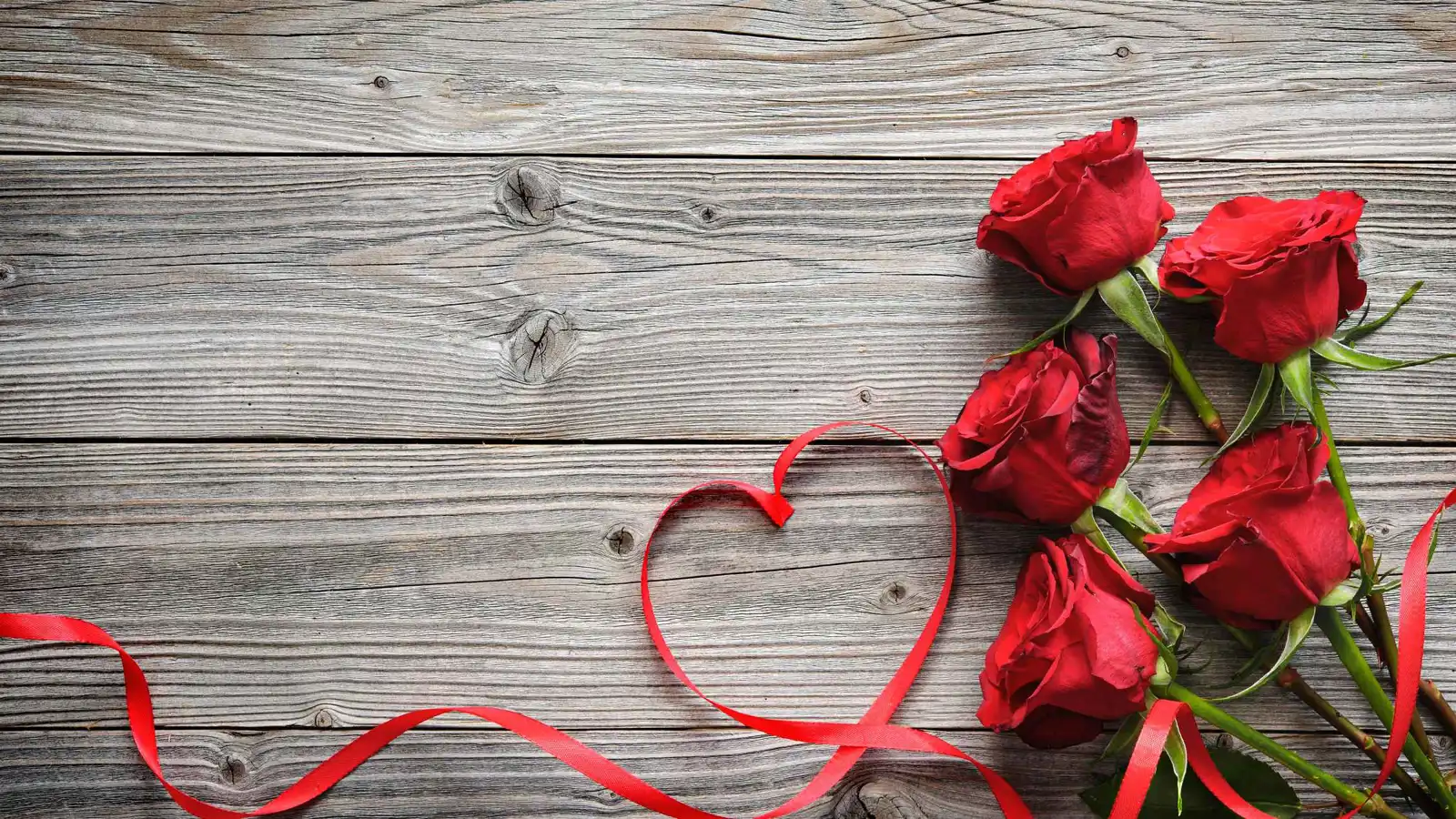 "الورود الحمراء تشبه زوجة الأب الشريرة".. الوجه المظلم لـ"عيد الحب"