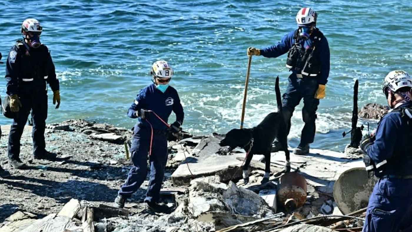 خيول وكلاب تبحث عن ضحايا حرائق لوس أنجلوس (فيديو)