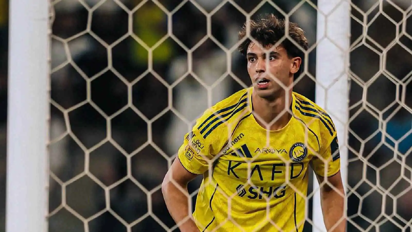 الصفقة الأقوى.. كم عدد مساهمات جواو فيليكس مع النصر السعودي؟