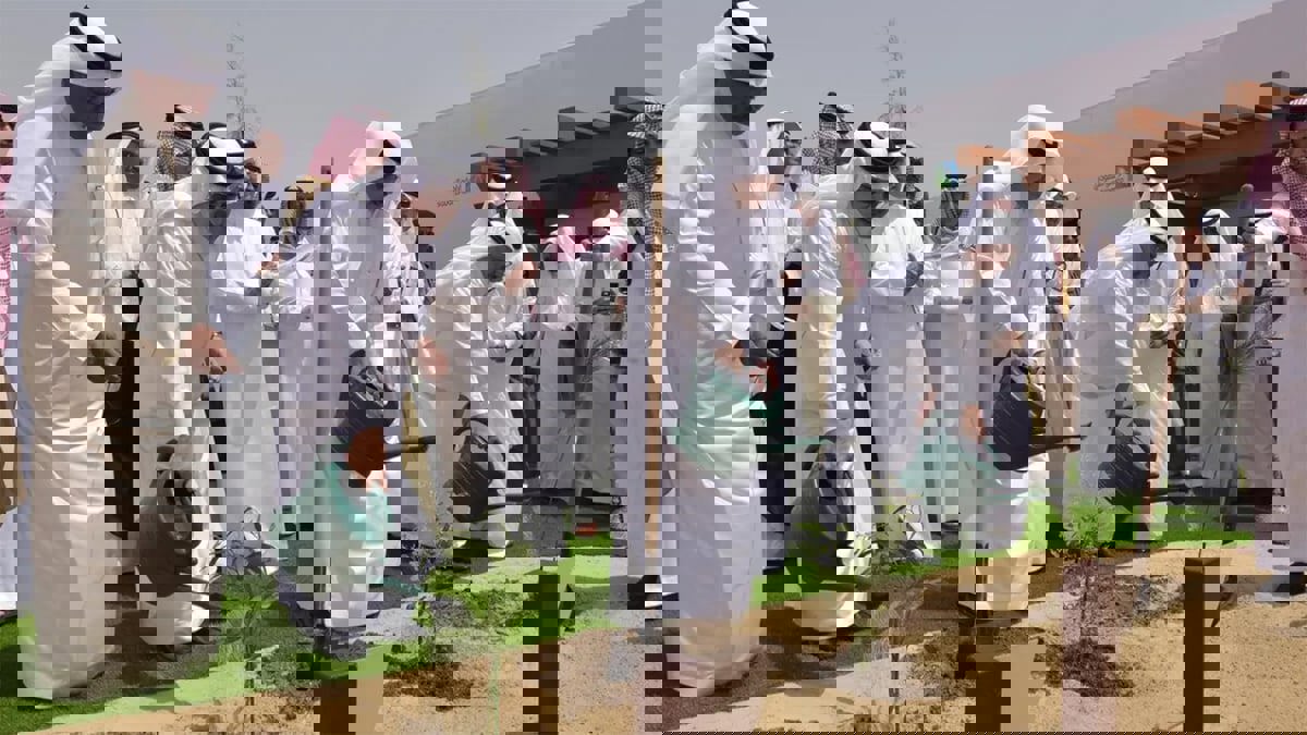اسم خاص وشهادة لكل شجرة لتشجيع السعوديين على الزراعة‎‎