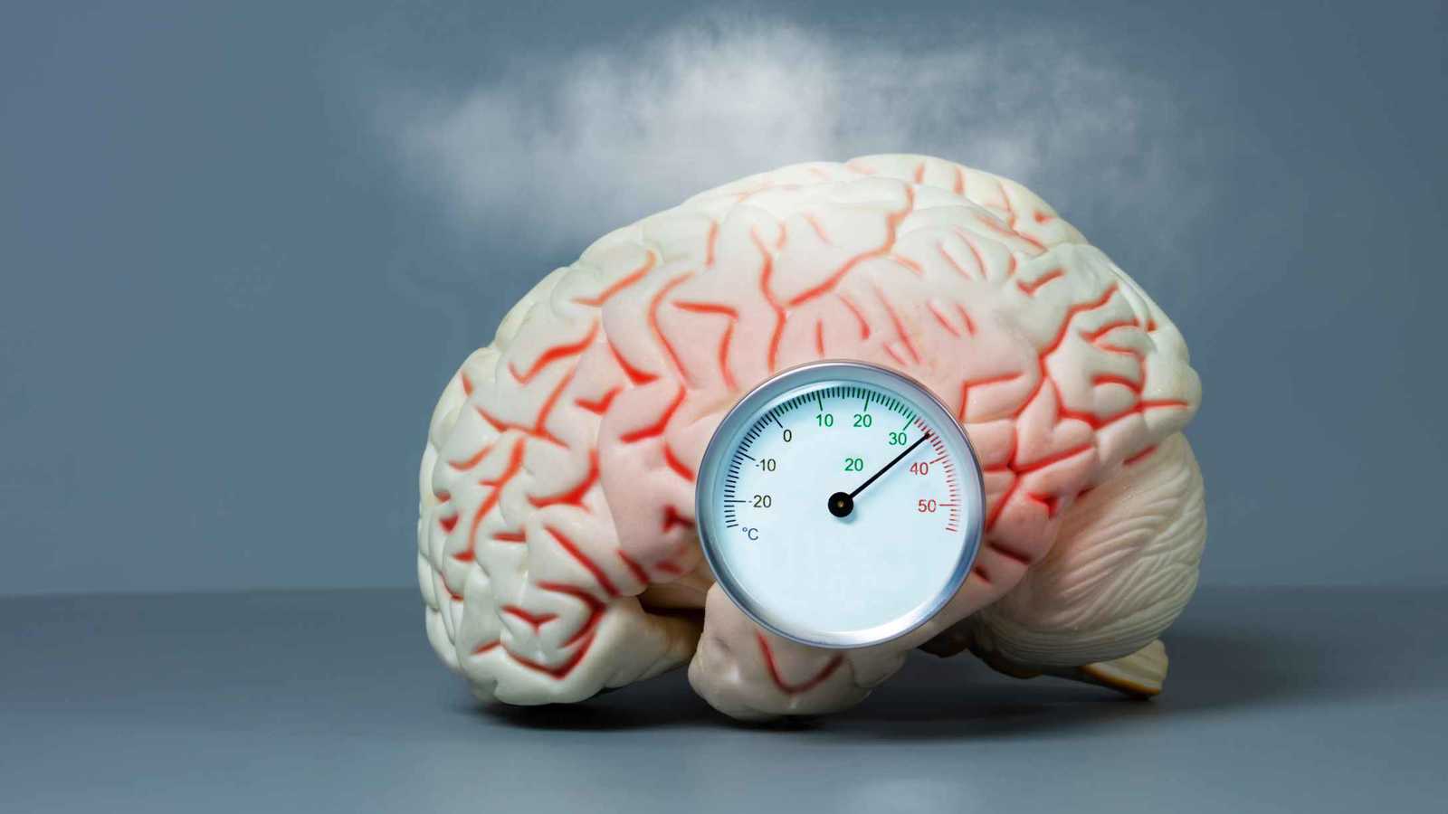 هل فعلًا "يُشوى" دماغنا في الحر؟