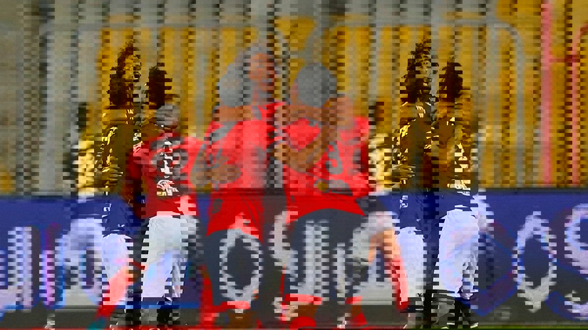 ترتيب الدوري المصري 2018/2019 النهائي (شاهد)