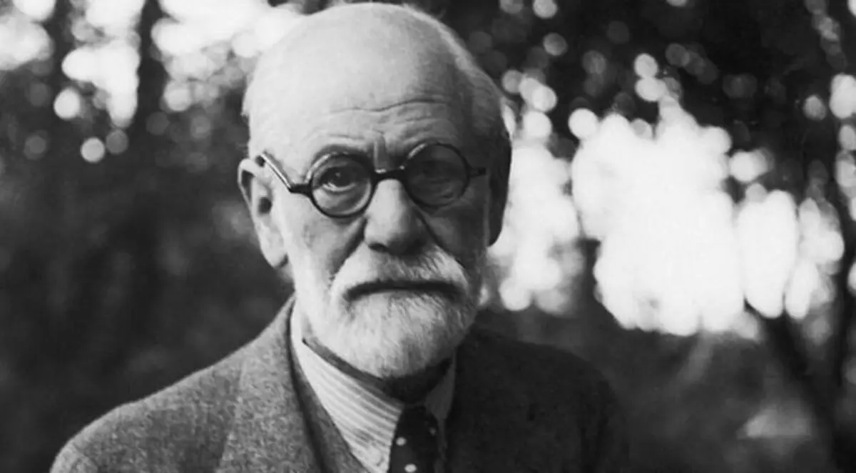 لصوص يحاولون سرقة رماد فرويد