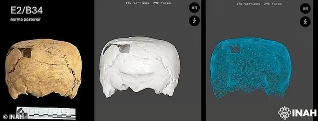 الجمجمة التي عثر عليها 