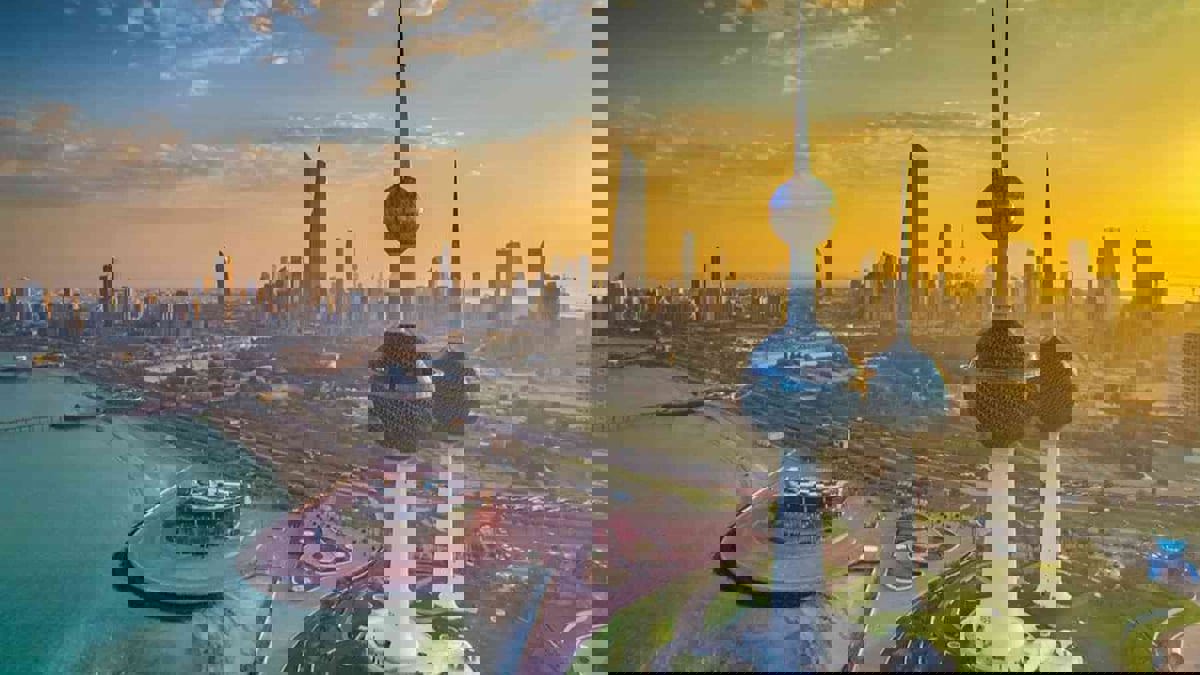 القط الإيطالي التائه "فابيو" يشغل الكويتيين بسبب المكافأة الضخمة