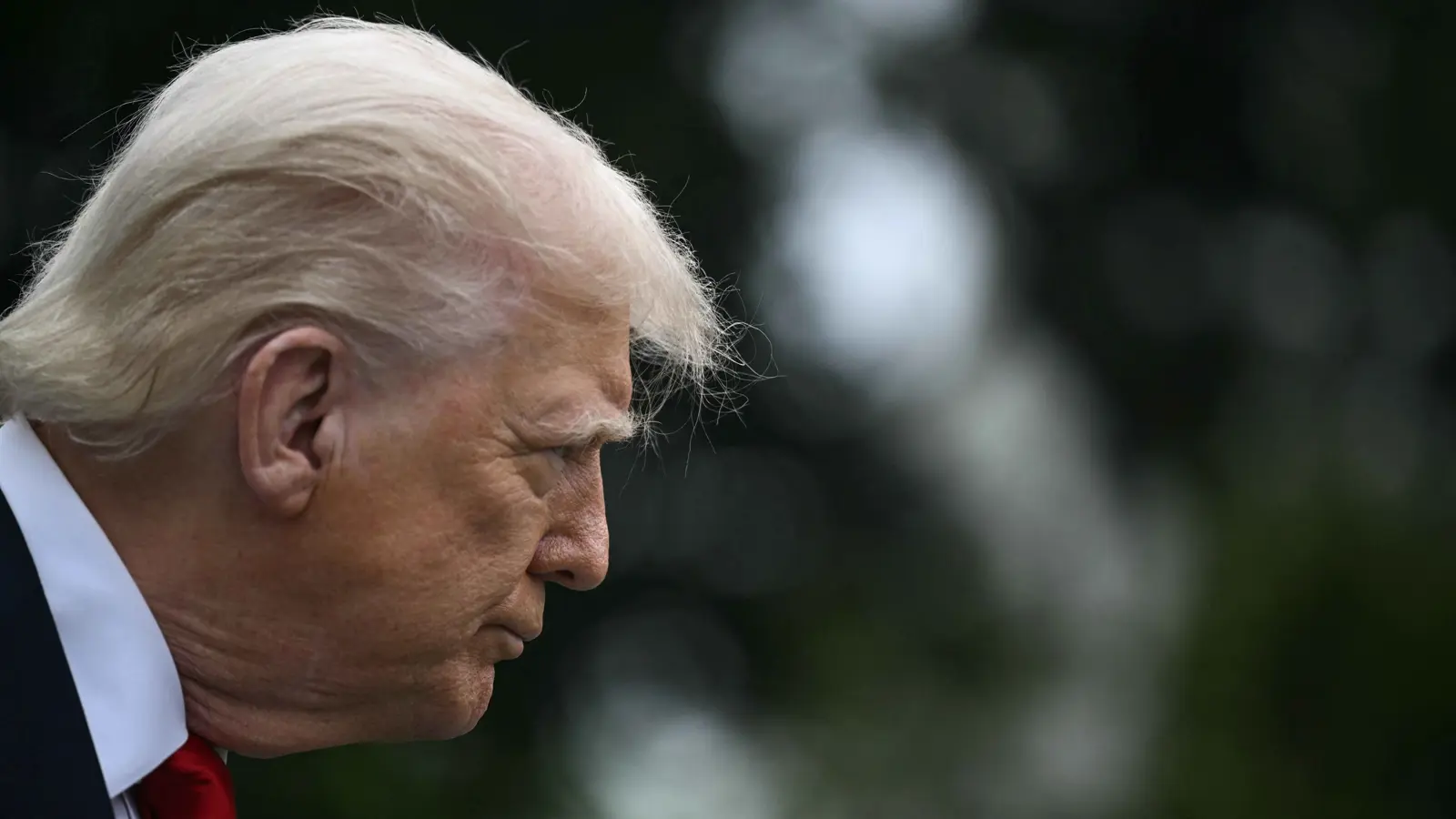 نيوزويك: شعبية دونالد ترامب تتلقى "ضربة ثلاثية"