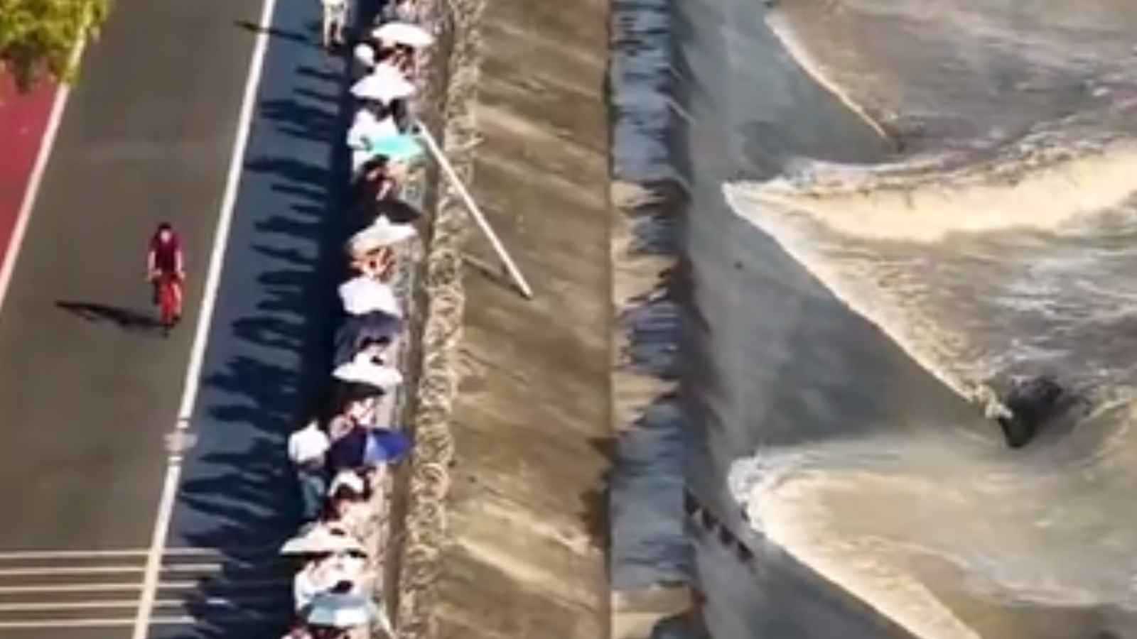 "ذيل التنين الإلهي".. ظاهرة بحرية فريدة في الصين (فيديو)