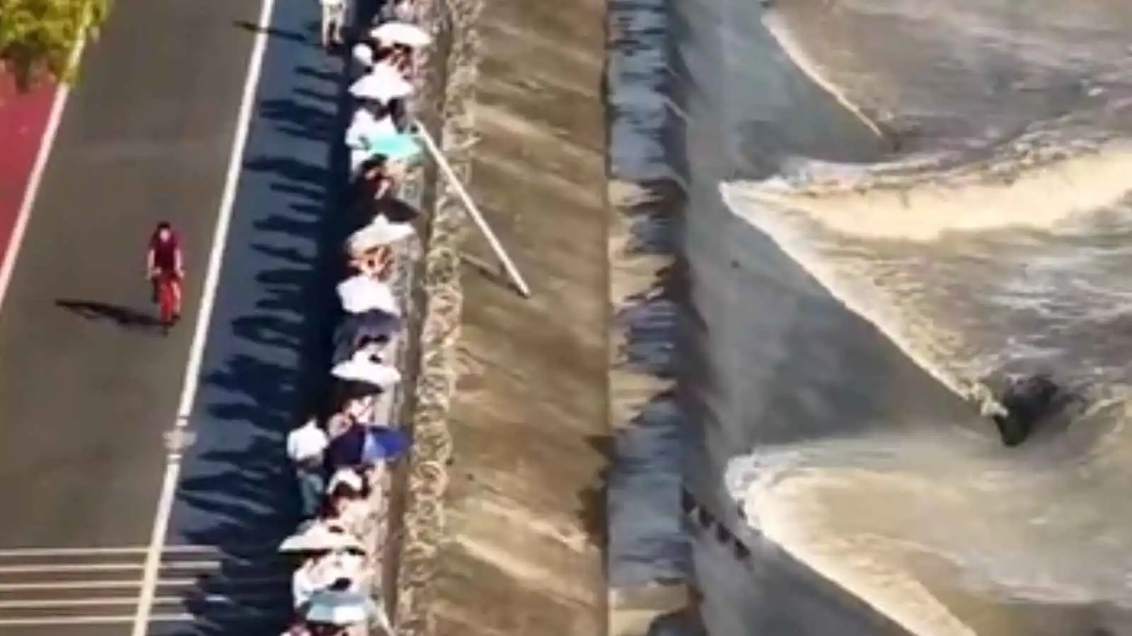 "ذيل التنين الإلهي".. ظاهرة بحرية فريدة في الصين (فيديو)