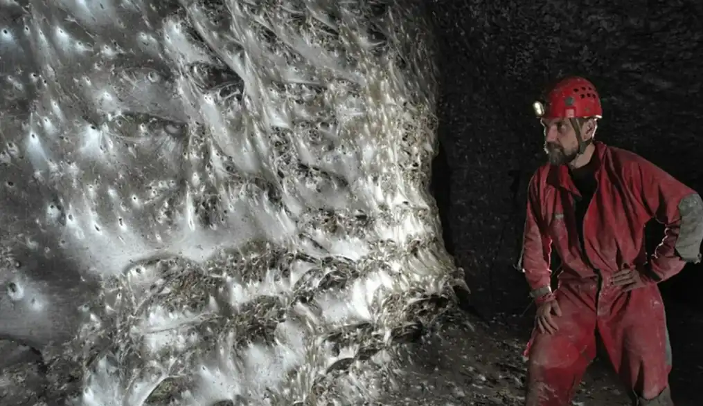 الشبكة المكتشفة