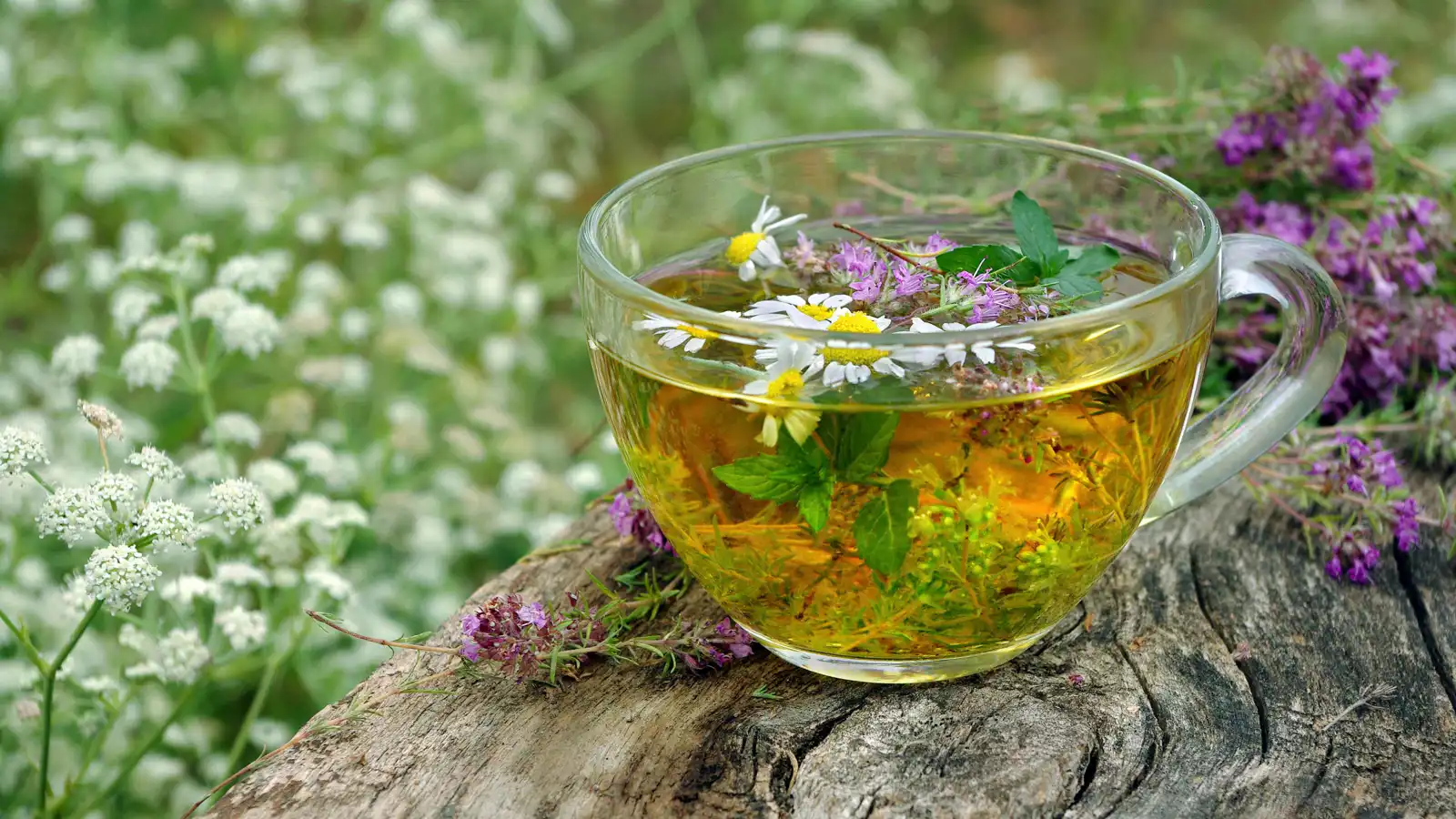 العراق.. أعشاب للتنحيف تنهي علاقة زوجية دامت سنوات