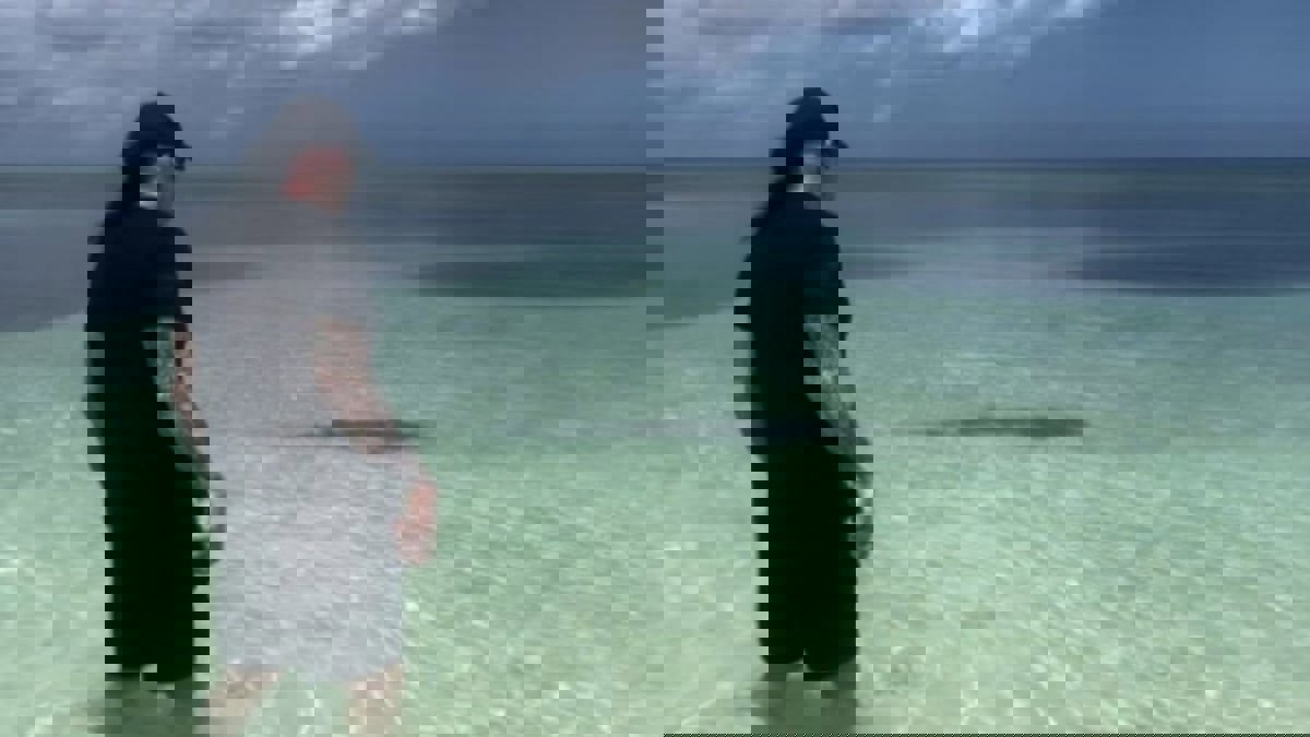 أندرتيكر يقف أمام سمكة قرش لحماية زوجته (فيديو)