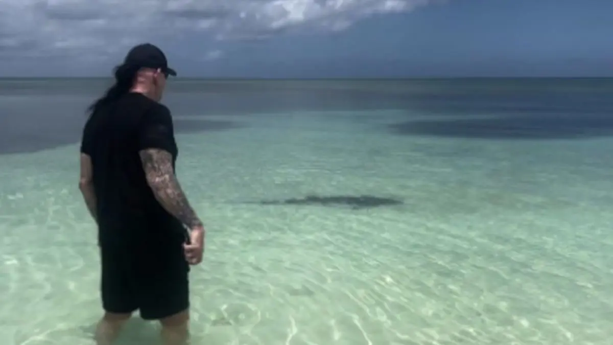 أندرتيكر يقف أمام سمكة قرش لحماية زوجته (فيديو)