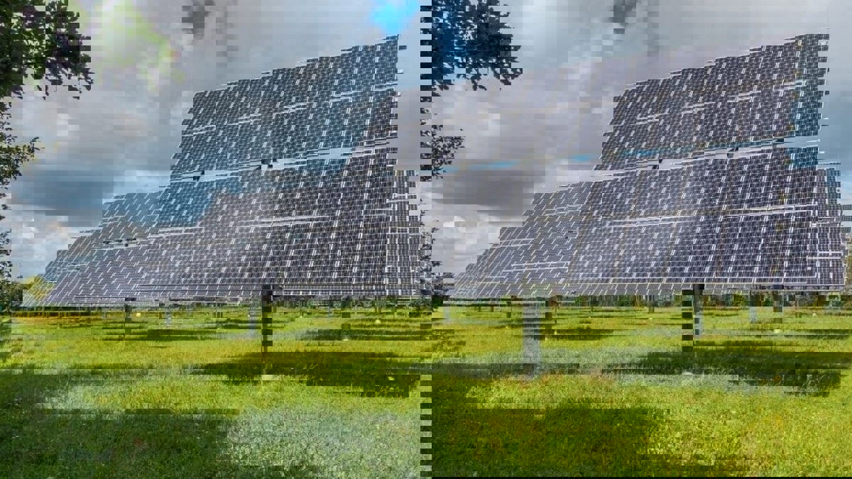 أول استثمار مباشر لـ"الصندوق السيادى النرويجي" بمشروع للطاقة المتجددة