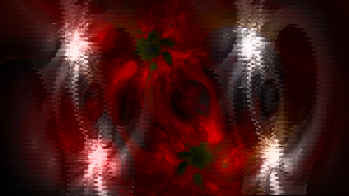 دراسة طبية: أصحاب فصيلة الدم "O" أقل عرضة للسكتات الدماغية